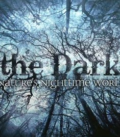 《黑暗中的自然界》百度影音